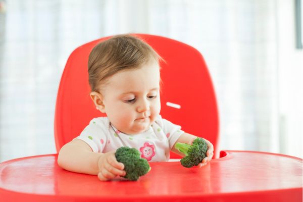 Introducing Solid Foods: A Guide to Starting Your Baby on Solids